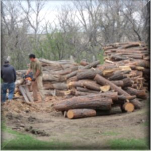 Two men volunteers working on cutting logs